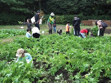 _251116_東京港野鳥公園_ _川島撮影-025