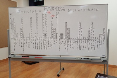 20191026_東京湾干潟の生きもの調査_ wbsj2