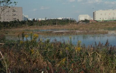 ポジ_1990年頃_東園路から見た東淡水池