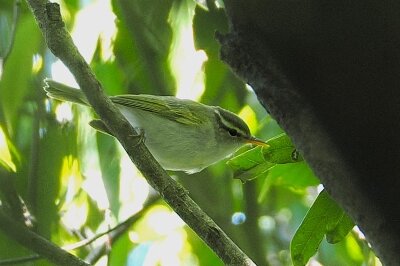 P5055088