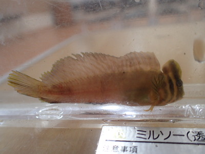 P7080328