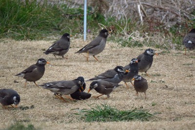 IMG_0061