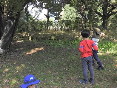 DSCN9343