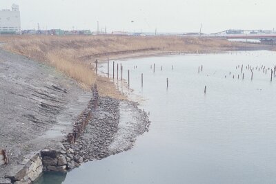 ポジ_1990年2月頃_潮入の池_retouch