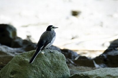 IMG_6464