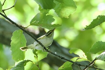 IMG_6470