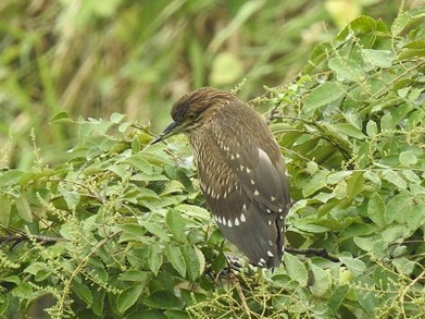 DSCN3069