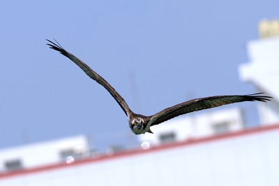 P8186406_2