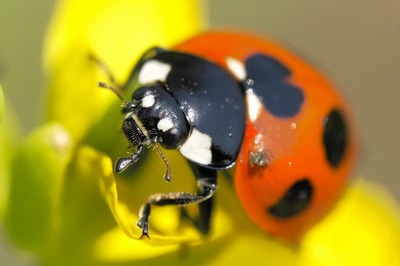 P3256663