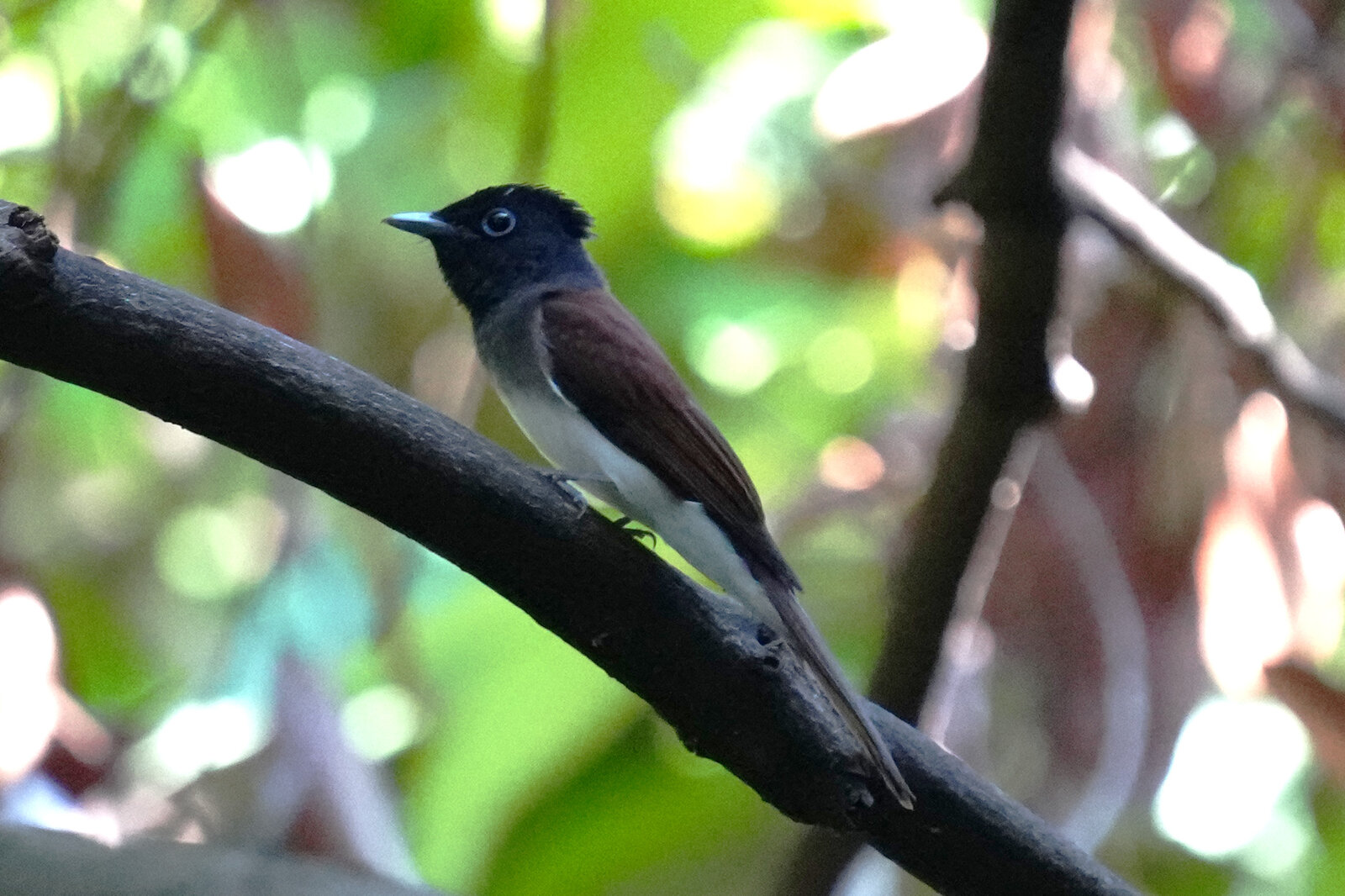 リョウゴウ様　確認 いつ作られたの？製造年月確認方法 - 業務用冷蔵庫・厨房機器お役立ち