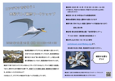 デコイチラシ_page-0001