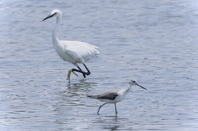 IMG_5960