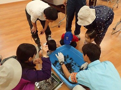 190615_生きもの振り返り(②)