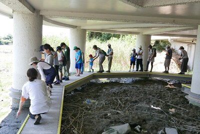 海の生き物観察0717‗2