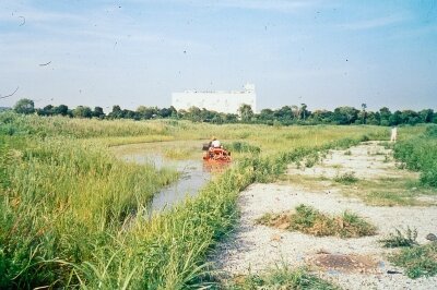 ポジ_1999年頃_泥湿地_耕耘2