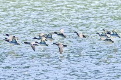 IMG_5777