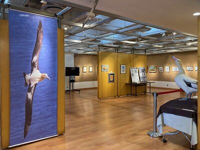 6/15～海鳥の展示を開催 : 東京港野鳥公園 レンジャーブログ
