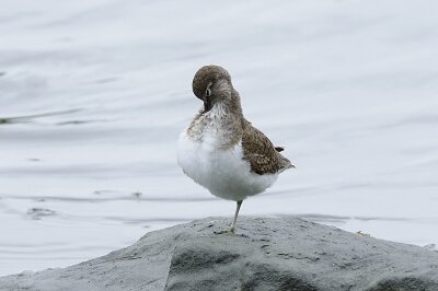 IMG_6356