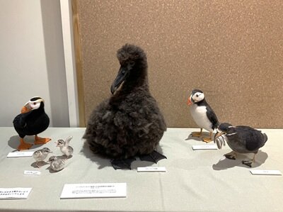 6/28 羊毛フェルト作品の展示と制作体験 : 東京港野鳥公園 レンジャー