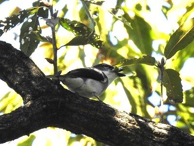 東京都立）東京港野鳥公園 | 【東京・大田観光協会公式サイト