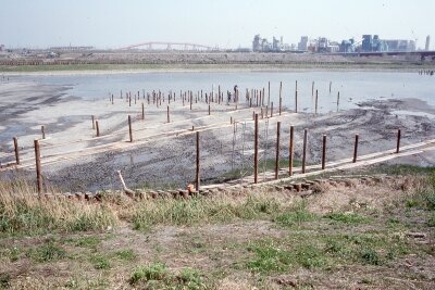 ポジ_1989年4月19日_潮入の池2_retouch