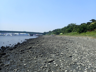 P7080293