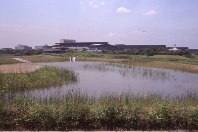 ポジ_東泥湿地-