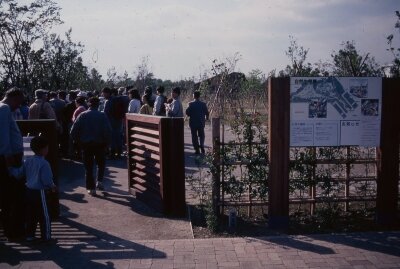 ポジ_1990年頃_自然生態園入口