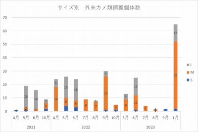 サイズ別外来カメ捕獲個体数