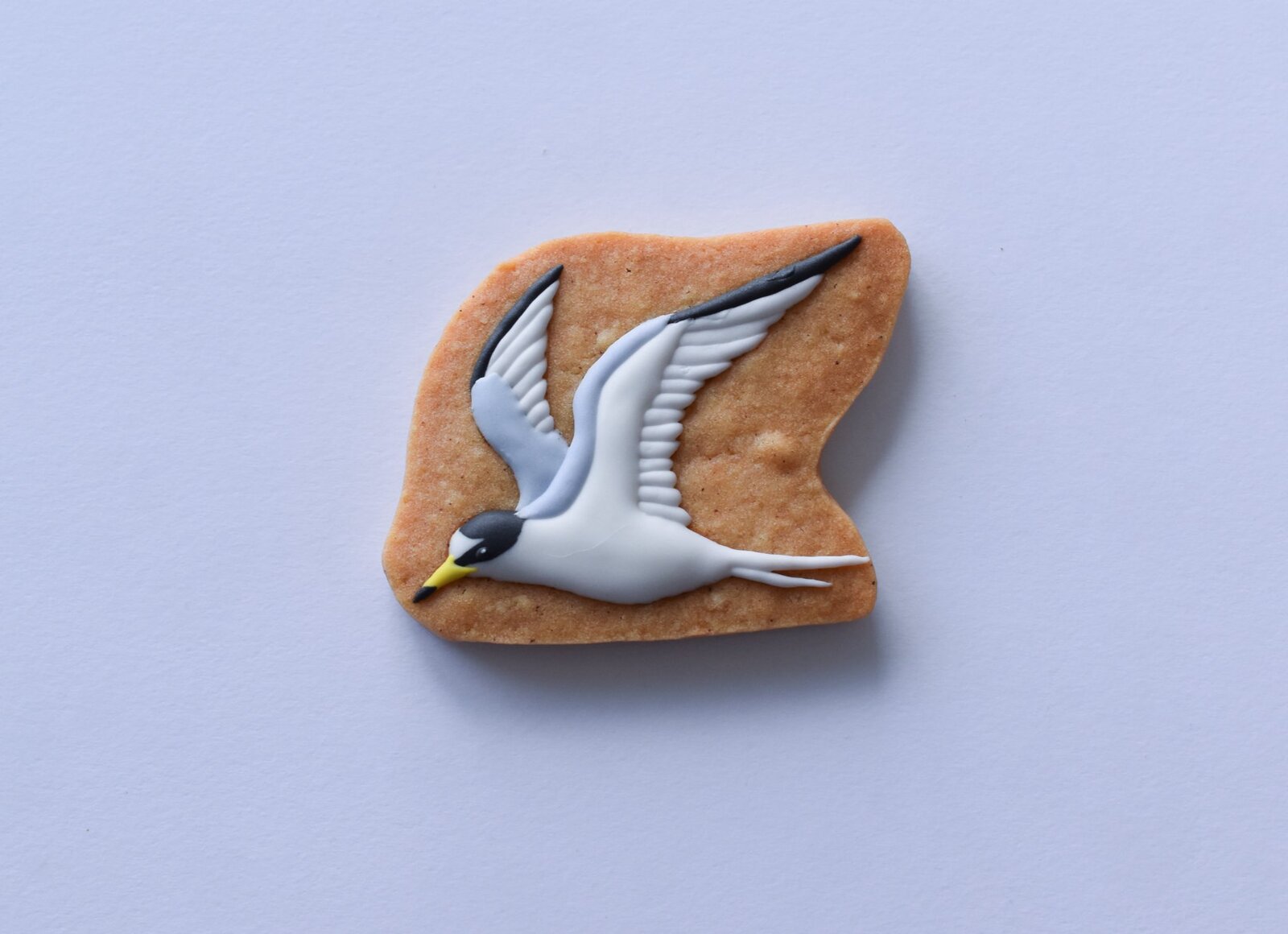 鳥類菓子図録・クッキー販売について : 東京港野鳥公園 レンジャーブログ