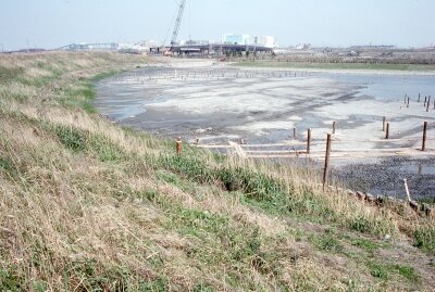 ポジ_1989年4月19日_潮入の池3_retouch