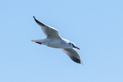 DSC_0656