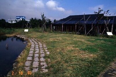 ポジ_1993年10月2日_自然学習センター前