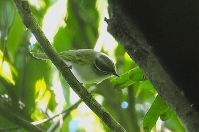P5055091