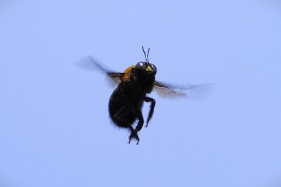 P4140790