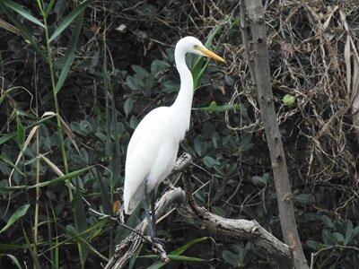 2025年9月14日の野鳥公園 : 東京港野鳥公園 レンジャーブログ