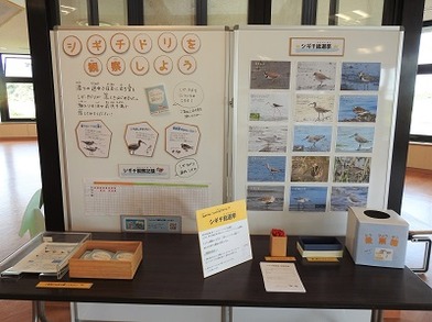 DSCN6047 - コピー