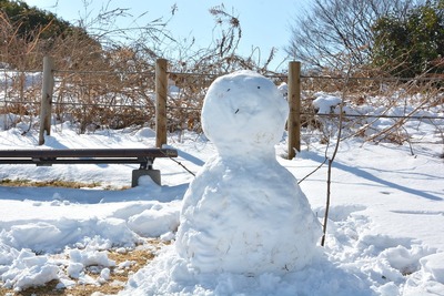 雪だるま20180123