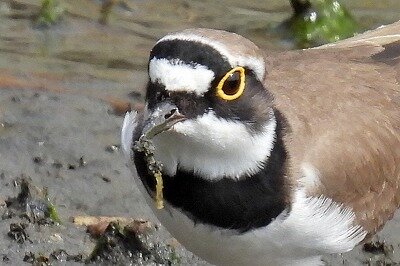 DSCN2169 - コピー