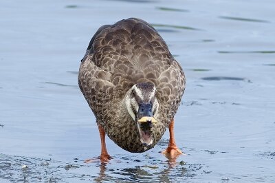 IMG_6364