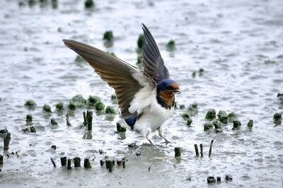 IMG_5819