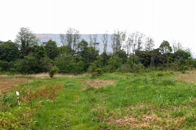 東園保護区_130430_東京港野鳥公園_公財日本野鳥の会_レンジャー撮影 (2)_trim