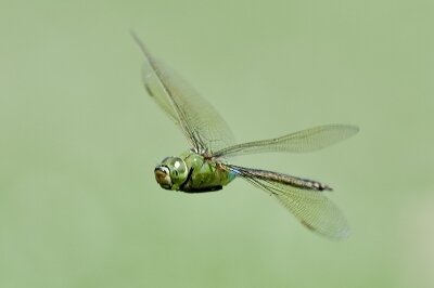 IMG_6150