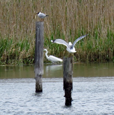 IMG_3779 (1277x1280)