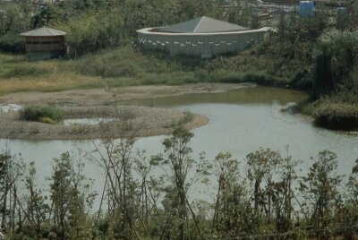 ポジ_1979年9月23日_西淡水池、観察小屋