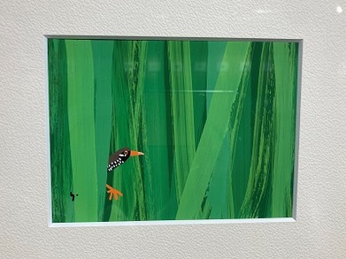 IMG_7354