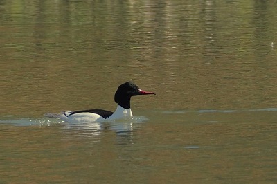 P3205153