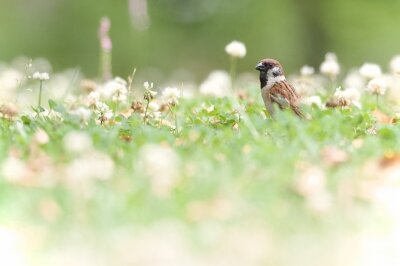 IMG_5958