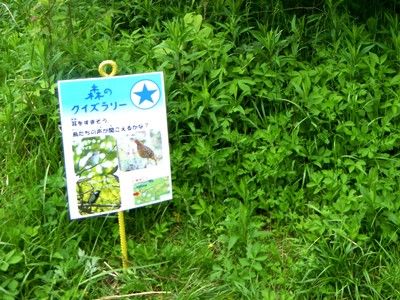 P1170561 - コピー