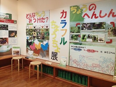 ちょうちょ展